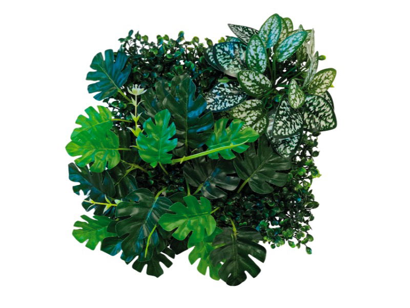 Repto Aquadistri plant achterwand mat 25x25 cm 3 - Aquadistri