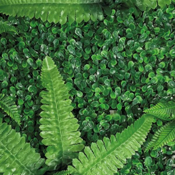 https://cdn.warentuin.nl/media/catalog/product/S/C/SCAN8715897339608_01_repto_aquarium_accesoires_repto_plant_achterwan_5c4b.jpg