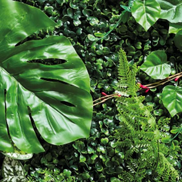 https://cdn.warentuin.nl/media/catalog/product/S/C/SCAN8715897339615_01_repto_aquarium_accesoires_repto_plant_achterwan_2c4f.jpg