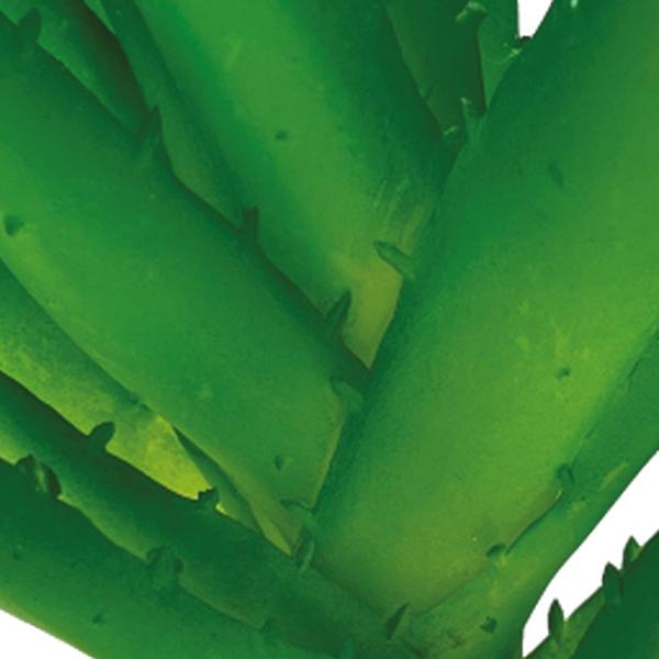https://cdn.warentuin.nl/media/catalog/product/S/C/SCAN8715897339653_01_repto_aquarium_accesoires_repto_plant_aloe_vera_f8e6.jpg