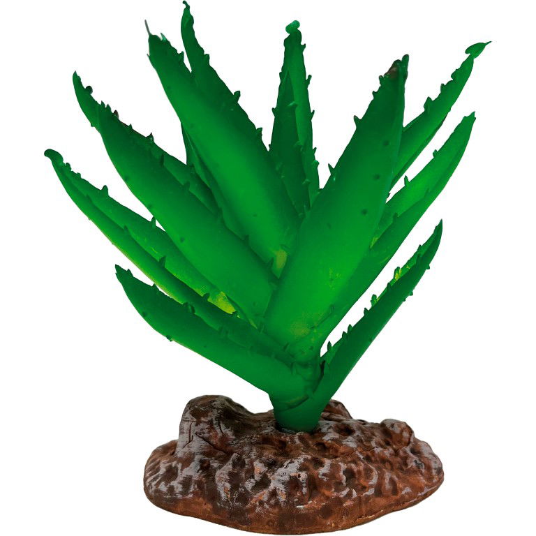 https://cdn.warentuin.nl/media/catalog/product/S/C/SCAN8715897339653_repto_aquarium_accesoires_repto_plant_aloe_vera_0319.jpg