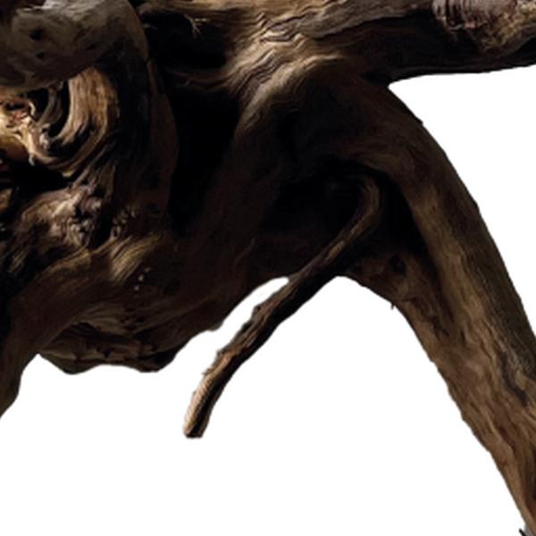 https://cdn.warentuin.nl/media/catalog/product/S/C/SCAN8715897342400_01_unbranded_aquarium_accesoires_black_spiderwood__9dc6.jpg