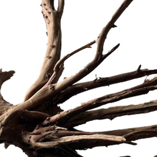 https://cdn.warentuin.nl/media/catalog/product/S/C/SCAN8715897342417_01_unbranded_aquarium_accesoires_black_spiderwood__b633.jpg