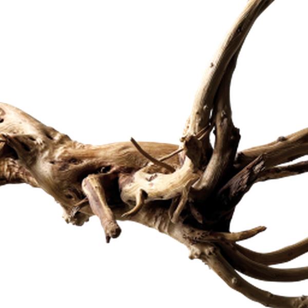 https://cdn.warentuin.nl/media/catalog/product/S/C/SCAN8715897342424_01_unbranded_aquarium_accesoires_black_spiderwood__4fda.jpg
