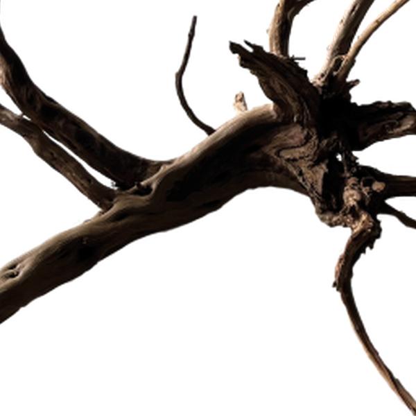 https://cdn.warentuin.nl/media/catalog/product/S/C/SCAN8715897342431_01_unbranded_aquarium_accesoires_black_spiderwood__0764.jpg