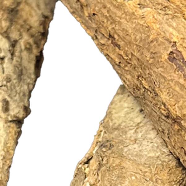 https://cdn.warentuin.nl/media/catalog/product/S/C/SCAN8715897343261_01_colombo_aquarium_accesoires_catappa_tube_3_stuk_09c3.jpg