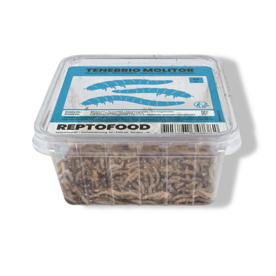 Aquadistri Meelwormen bakje 50g Reptofood - 