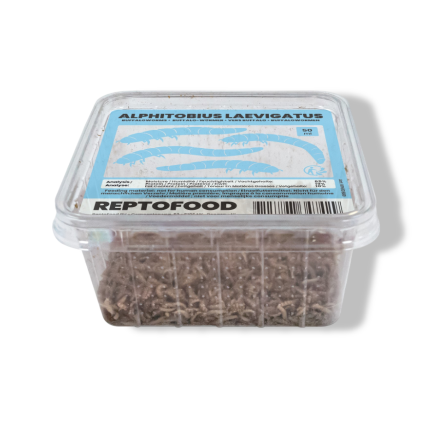 Aquadistri Buffalowormen bakje 50ml Reptofood - 