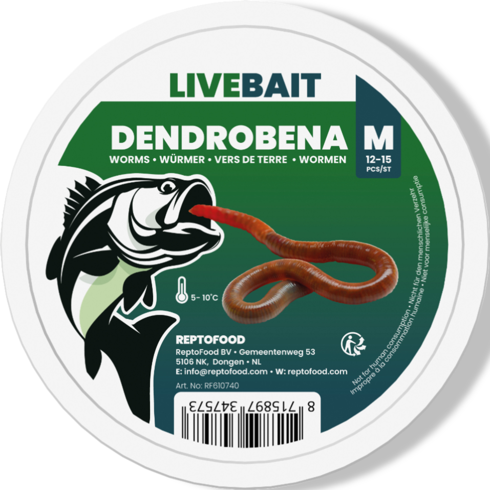 Aquadistri Dendrobena worm m 12-15st Reptofood  - 