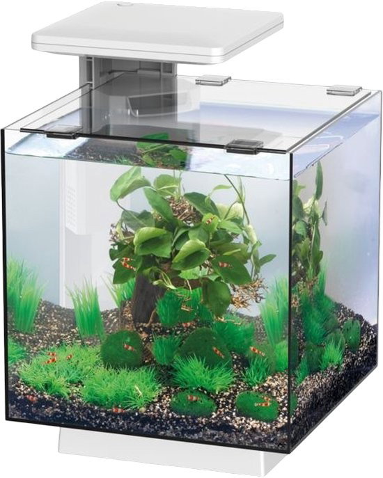https://cdn.warentuin.nl/media/catalog/product/S/C/SCAN8715897349140_qubiq_15_led_wit_superfish_42b9.jpg
