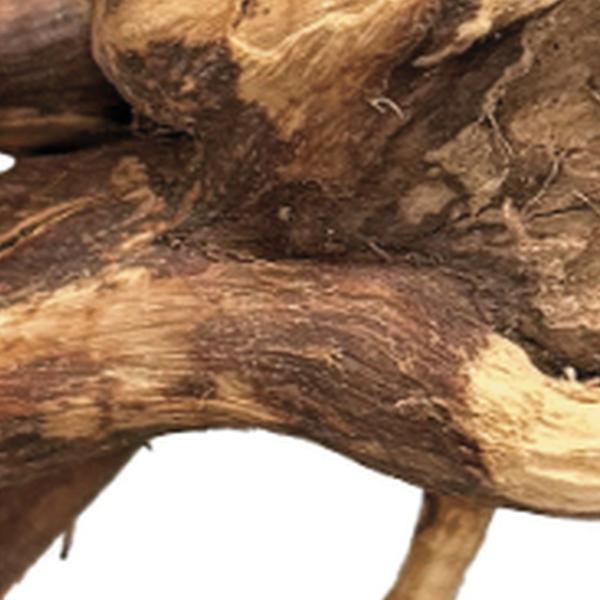 Spider wood 10-15 cm BioArt - Aquadistri