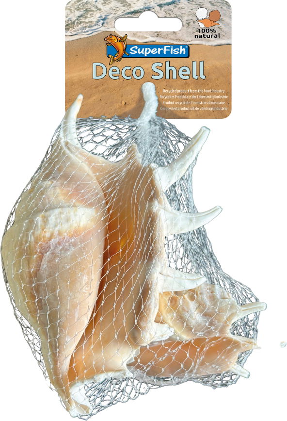 Deco schelp spider 150 gram Superfish - Superfish