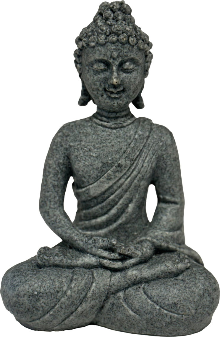 https://cdn.warentuin.nl/media/catalog/product/S/C/SCAN8715897349829_superfish_decoratie_eco_deco_buddha_superfish_ceaf.jpg