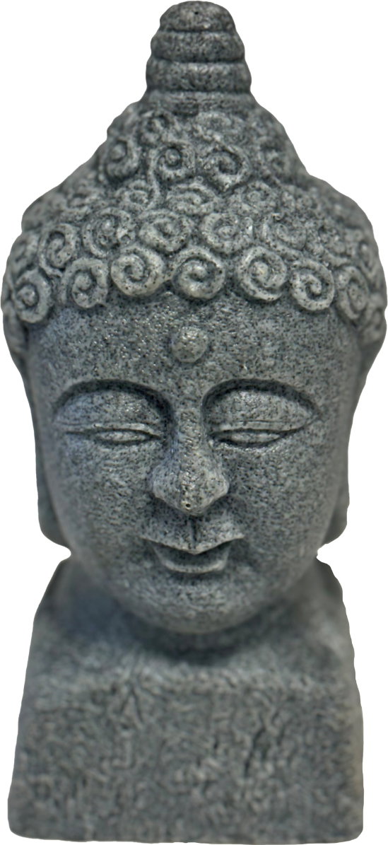 https://cdn.warentuin.nl/media/catalog/product/S/C/SCAN8715897349836_superfish_decoratie_eco_deco_buddha_head_superfish_df15.jpg
