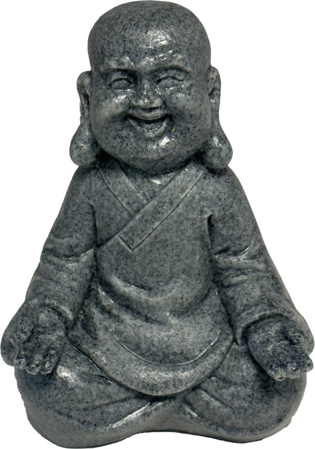 https://cdn.warentuin.nl/media/catalog/product/S/C/SCAN8715897349843_superfish_decoratie_eco_deco_monk_superfish_aca2.jpg