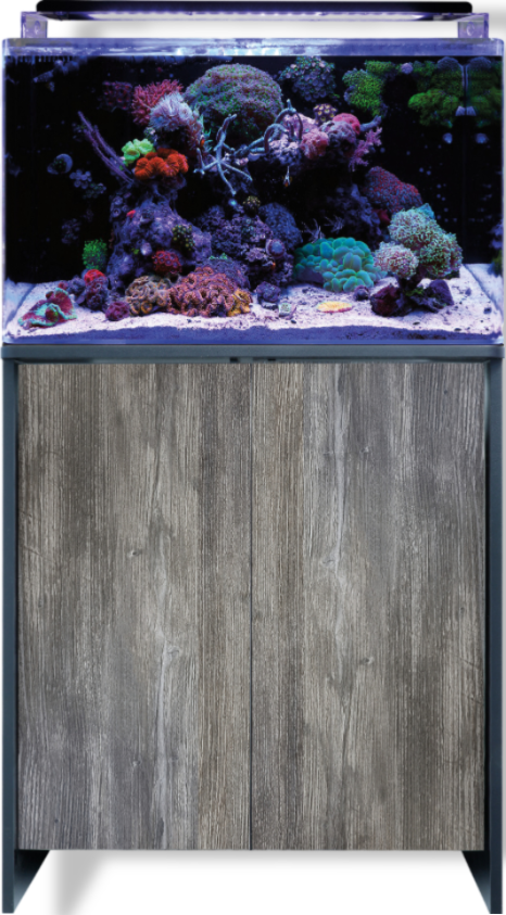 https://cdn.warentuin.nl/media/catalog/product/S/C/SCAN8715897350344_01_aquadistri_houtwaren_reef_160_meubel_black_pasa_blue_marin_fc8f.png
