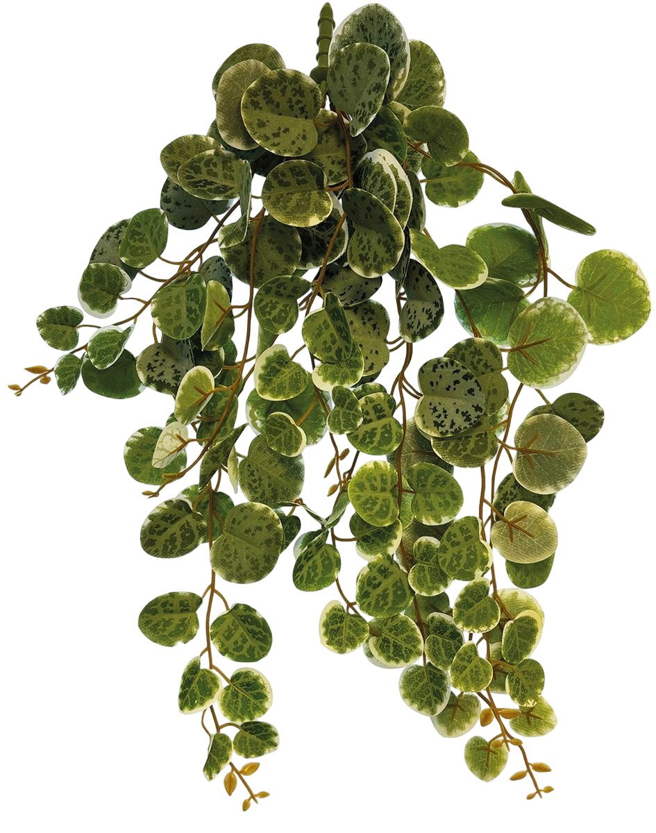 https://cdn.warentuin.nl/media/catalog/product/S/C/SCAN8715897351020_plant_hanging_round_leaves_46_cm_repto_9d5c.jpg
