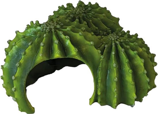 https://cdn.warentuin.nl/media/catalog/product/S/C/SCAN8715897351181_deco_cactus_triple_repto_6f2d.jpg