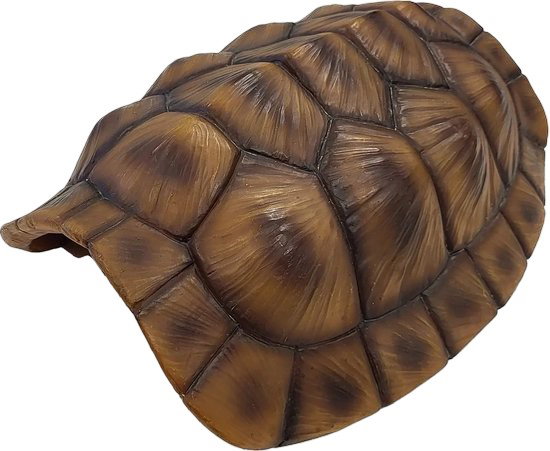 https://cdn.warentuin.nl/media/catalog/product/S/C/SCAN8715897351259_deco_tortoise_xl_repto_5be0.jpg