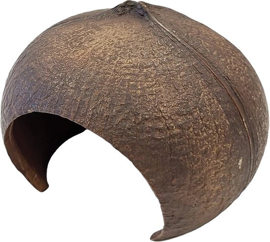 https://cdn.warentuin.nl/media/catalog/product/S/C/SCAN8715897351266_deco_coconut_repto_c602.jpg