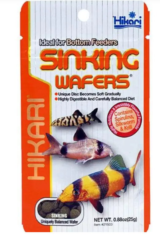 https://cdn.warentuin.nl/media/catalog/product/S/C/SCAN8715897351952_aquadistri_aquariumaccesoires_hikari_fish_catch_tank_6e72.jpg