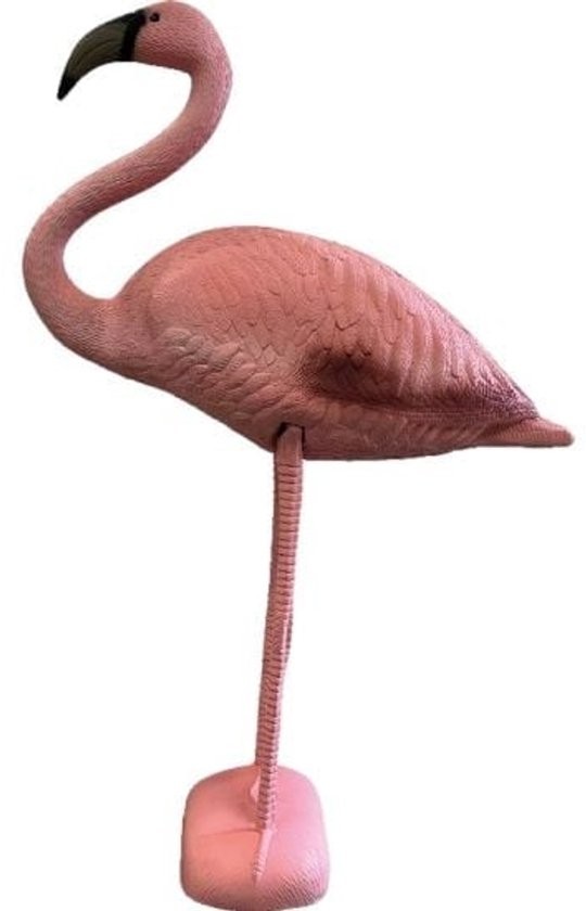 https://cdn.warentuin.nl/media/catalog/product/S/C/SCAN8715897353055_deco_vogel_flamingo_aquadistri_0822.jpg