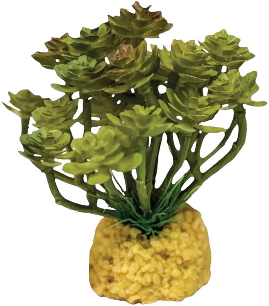 https://cdn.warentuin.nl/media/catalog/product/S/C/SCAN8715897353529_plant_cactus_tree_repto_9683.jpg