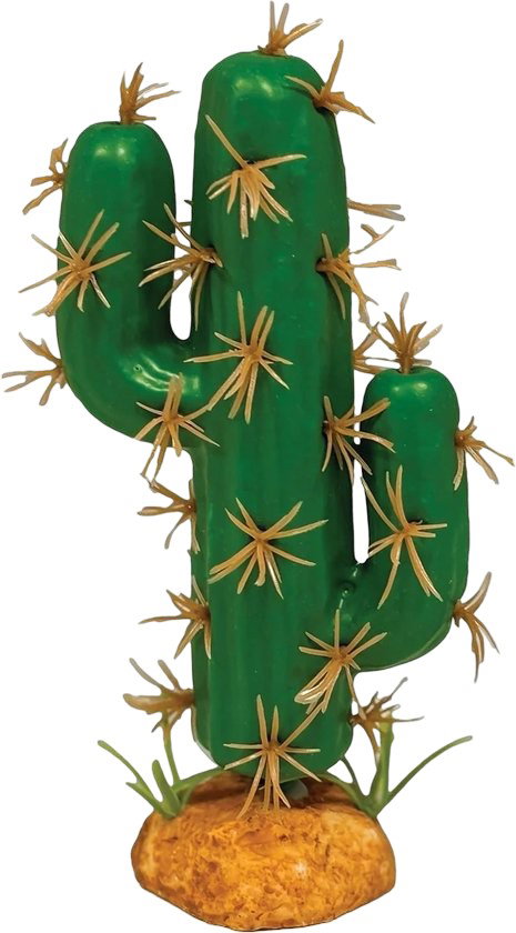 https://cdn.warentuin.nl/media/catalog/product/S/C/SCAN8715897353581_plant_cactus_trident_xl_repto_cab9.jpg