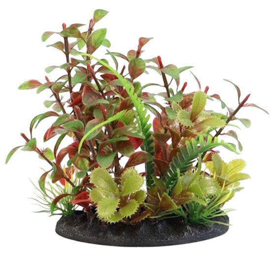 https://cdn.warentuin.nl/media/catalog/product/S/C/SCAN8715897357794_deco_plant_s_nr_2_superfish_1c83.jpg
