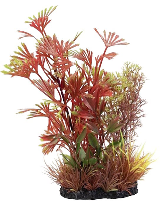 https://cdn.warentuin.nl/media/catalog/product/S/C/SCAN8715897357916_deco_plant_l_nr_1_superfish_a293.jpg