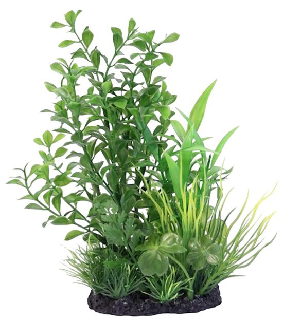 https://cdn.warentuin.nl/media/catalog/product/S/C/SCAN8715897357947_deco_plant_l_nr_4_superfish_c3a9.jpg