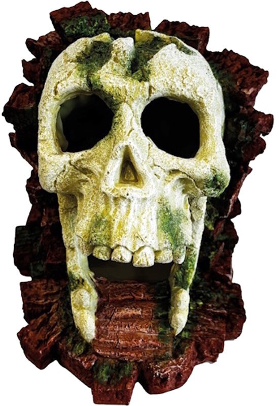 https://cdn.warentuin.nl/media/catalog/product/S/C/SCAN8715897359545_deco_gorilla_skull_repto_e922.jpg