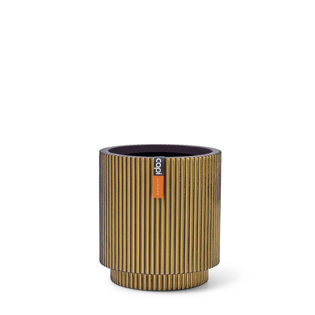 https://cdn.warentuin.nl/media/catalog/product/S/C/SCAN8716443106262_dfc1.jpeg