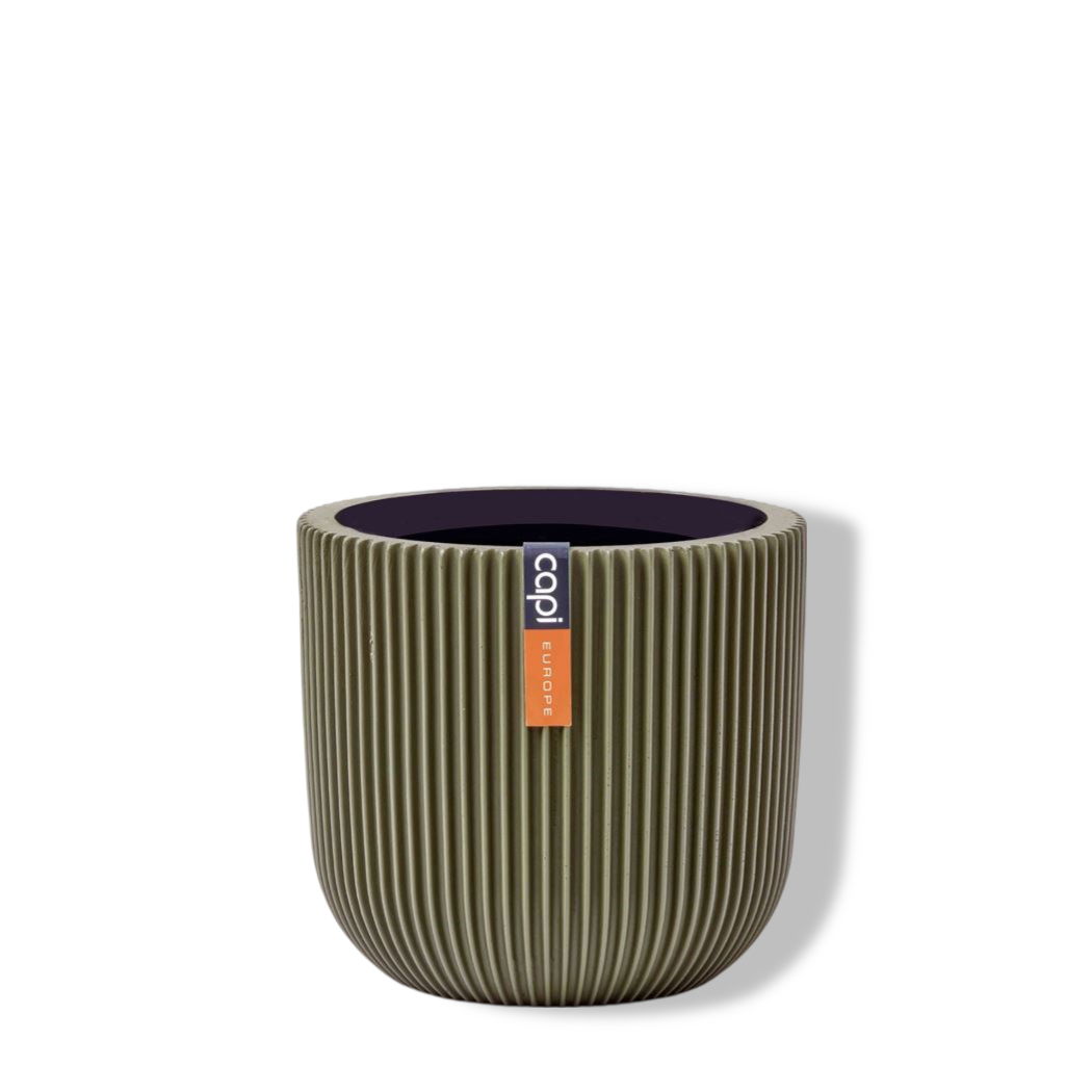 https://cdn.warentuin.nl/media/catalog/product/S/C/SCAN8716443106460_01_capi_europe_capi_goud_pot_bol_groove_8x7_gro_d7cd.jpg