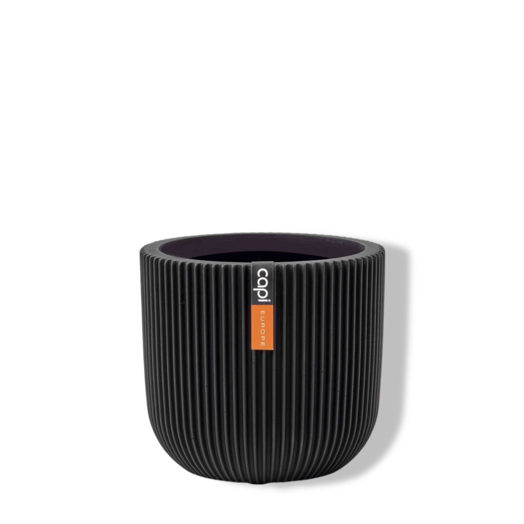 https://cdn.warentuin.nl/media/catalog/product/S/C/SCAN8716443106613_01_capi_europe_capi_goud_pot_bol_groove_8x7_zwa_4975.jpg
