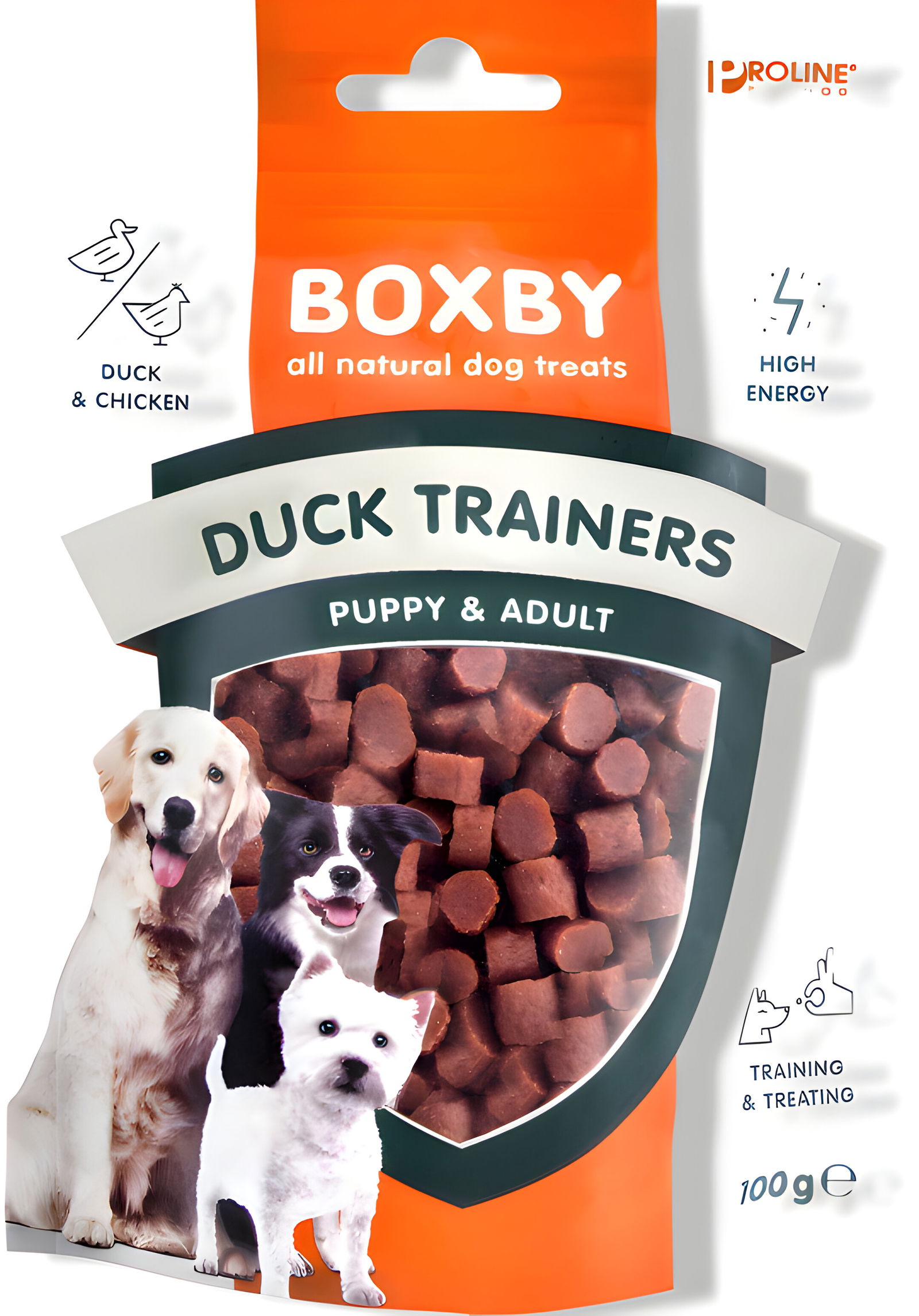 https://cdn.warentuin.nl/media/catalog/product/S/C/SCAN8716793902866_01_gebr_de_boon_proline_boxby_duck_trainers_100_db49.jpg