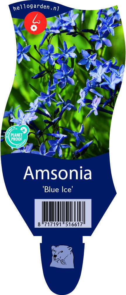 https://cdn.warentuin.nl/media/catalog/product/S/C/SCAN8717191516617_amsonia_blue_ice_vaste_plant_griffioen_2a4b.jpg