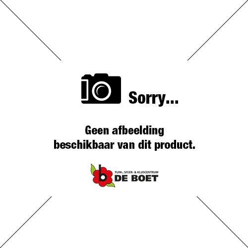 https://cdn.warentuin.nl/media/catalog/product/S/C/SCAN8717591779674_01_loungesethoes_270_x_210_x_70_cm_aerocover_warentuin_2e54.jpg