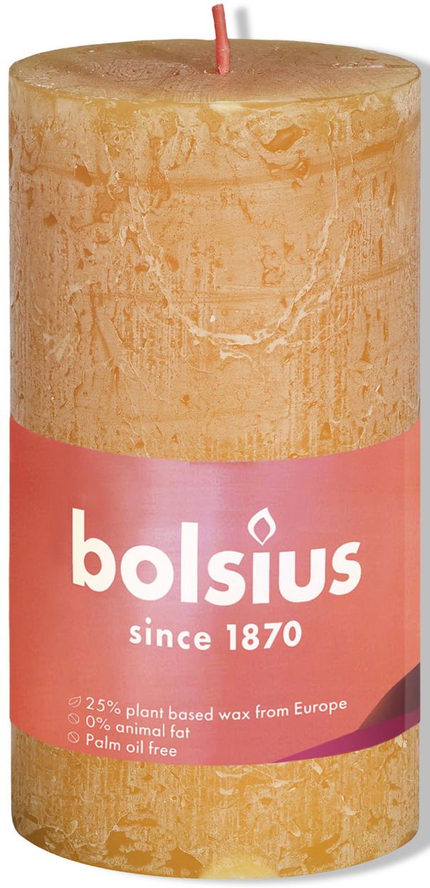 https://cdn.warentuin.nl/media/catalog/product/S/C/SCAN8717847142801_01_bolsius_kaarsen_rustiek_shine_stompkaars_100_c787.jpg