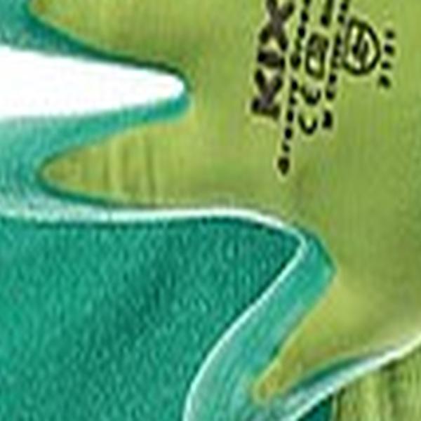 https://cdn.warentuin.nl/media/catalog/product/S/C/SCAN8717869053031_01_kixx_handschoenen_handschoen_groovy_green_maat_6_f43a.jpg