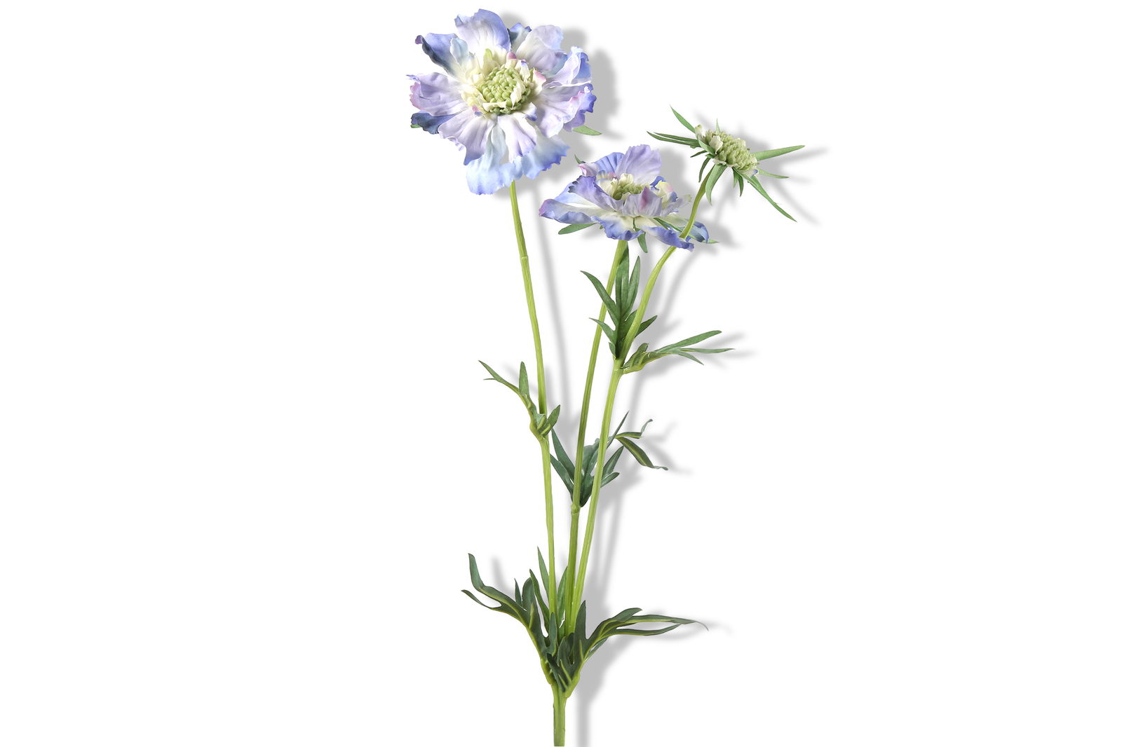 https://cdn.warentuin.nl/media/catalog/product/S/C/SCAN8718317635939_01_countryfield_woonaccesoires_kunstbloem_scabiosa_8x8x74_cm__ff50.jpg
