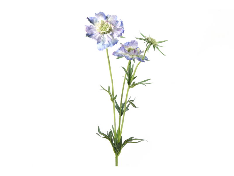Countryfield Kunstbloem Scabiosa 8x8x74 cm blauw - 