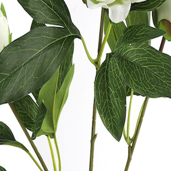 https://cdn.warentuin.nl/media/catalog/product/S/C/SCAN8718317758669_01_countryfield_kunstbloem_paeonia_kunststof_23x13g_64cb.jpg
