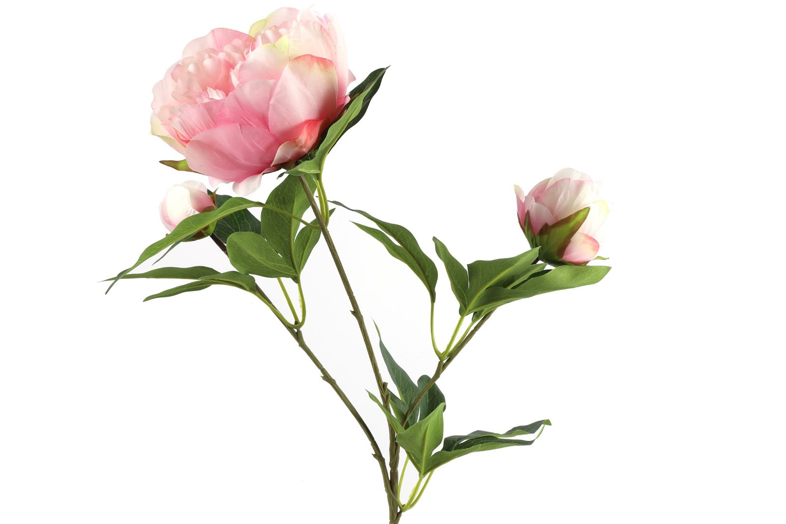 Paeonia Kunststoff 23x13x73 cm rosa Kunstblume I
