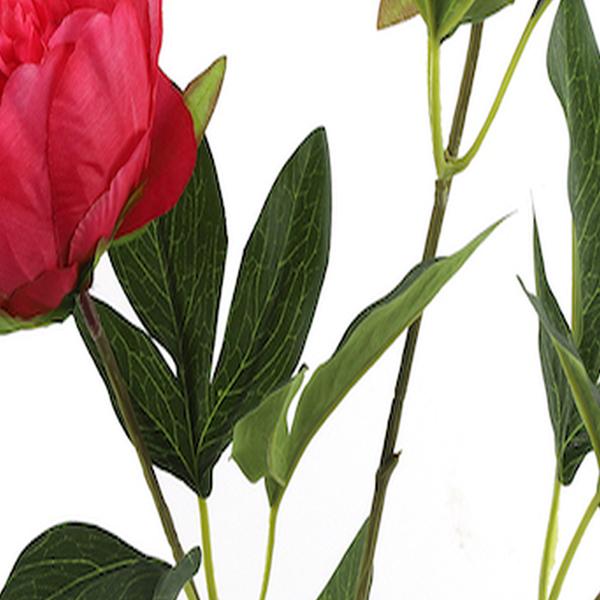 https://cdn.warentuin.nl/media/catalog/product/S/C/SCAN8718317758683_01_countryfield_kunstbloem_paeonia_kunststof_23x13g_e05d.jpg
