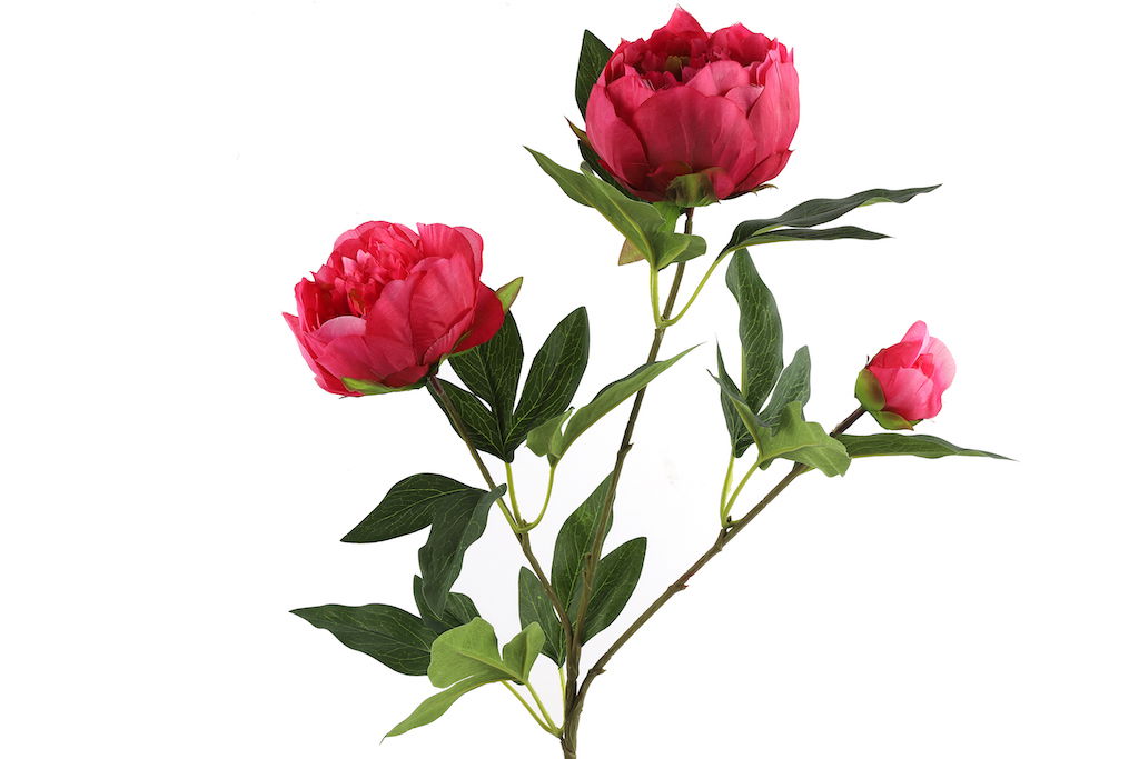 Countryfield Paeonia kunststof 23x13x73 cm roze kunstbloem II - 