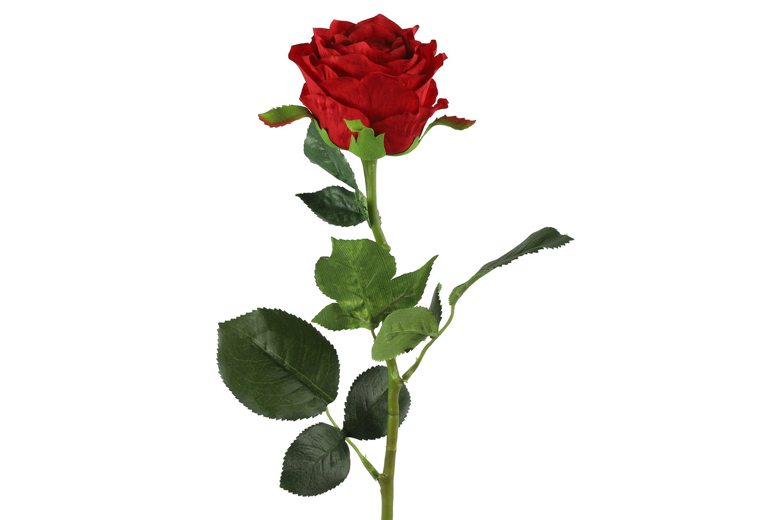 https://cdn.warentuin.nl/media/catalog/product/S/C/SCAN8718317764127_countryfield_kunstbloem_rosa_rood_countryfield_c2a4.jpg