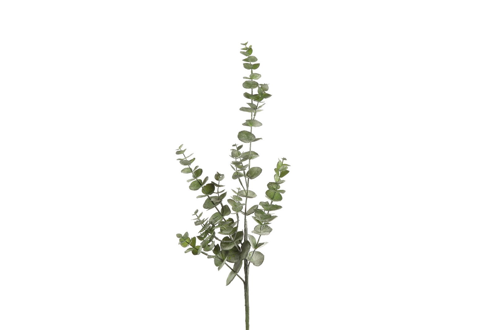 Countryfield Eucalyptus S groen - 