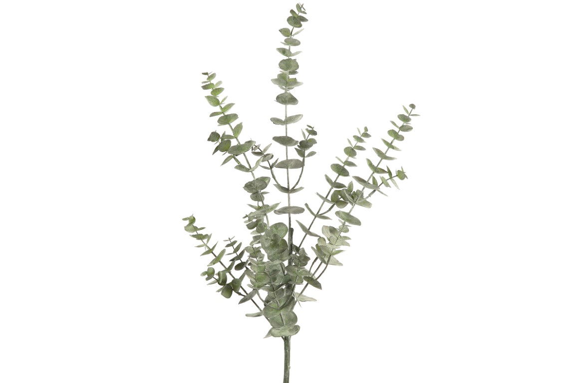 https://cdn.warentuin.nl/media/catalog/product/S/C/SCAN8718317798436_countryfield_decoratie_eucalyptus_l_groen_countryfield_c454.jpg