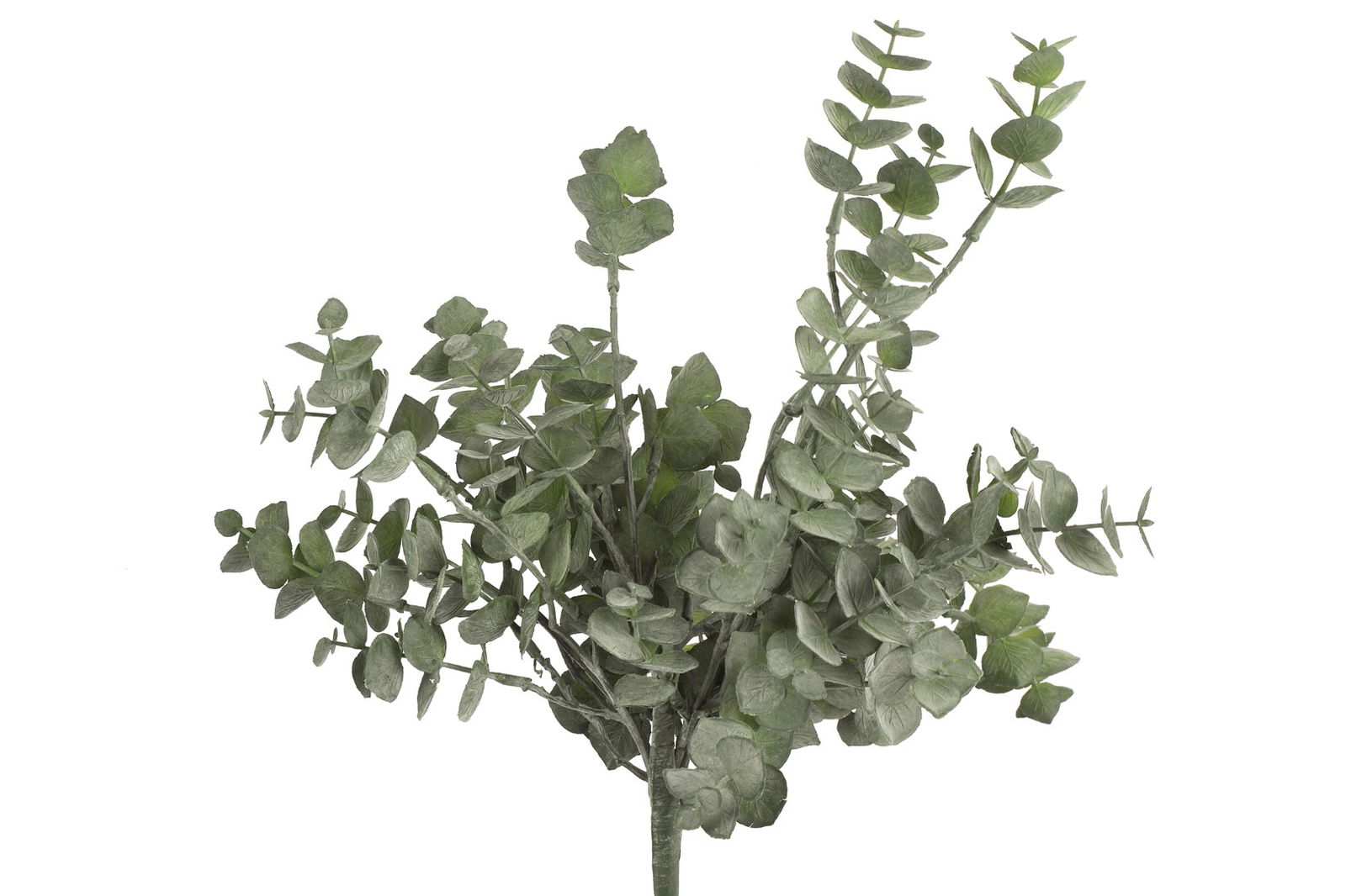 https://cdn.warentuin.nl/media/catalog/product/S/C/SCAN8718317798450_countryfield_kunstbloem_eucalyptus_groen_countryfield_9752.jpg